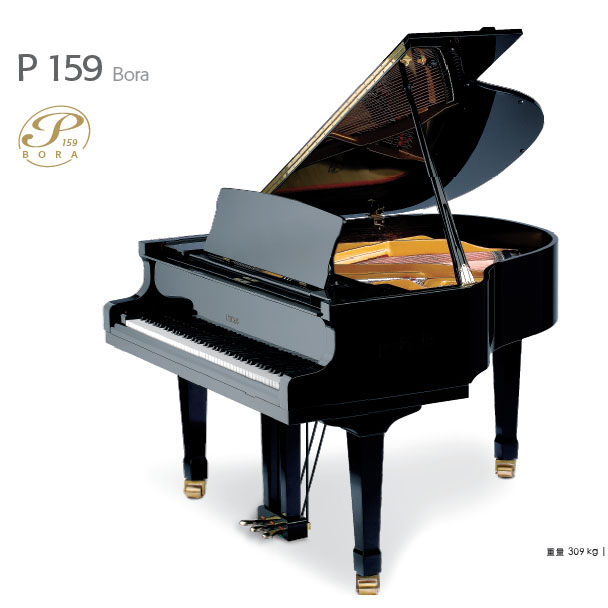 三角钢琴 P159 Bora